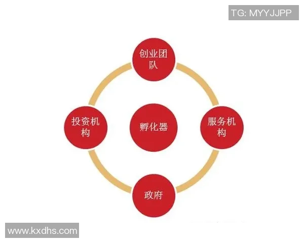 探讨足球明星的多元背景与成长路径分析